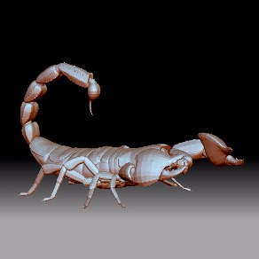 蝎子