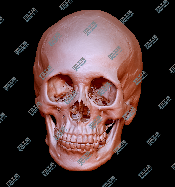images/goods_img/1523332263861.png