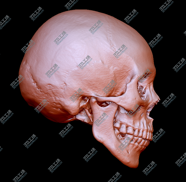 images/goods_img/1523332263884.png