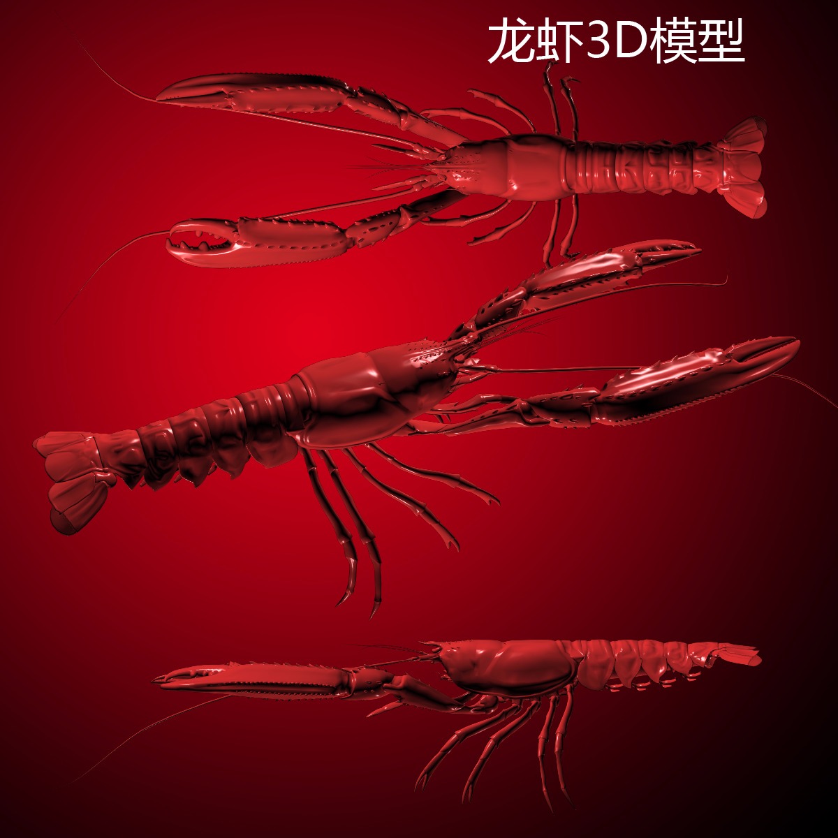 龙虾