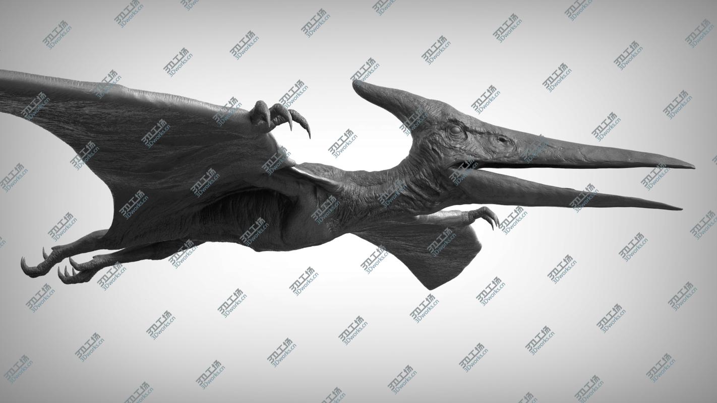 无齿翼龙（被操控）3D模型 - TurboSquid 1139293