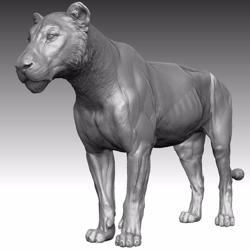 3D母狮
