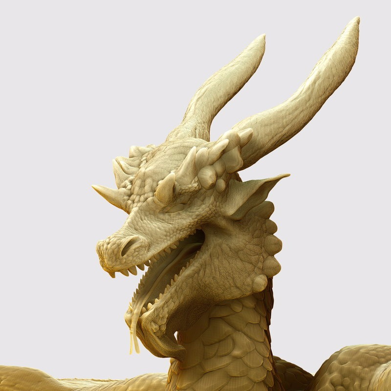 嗨保利龙