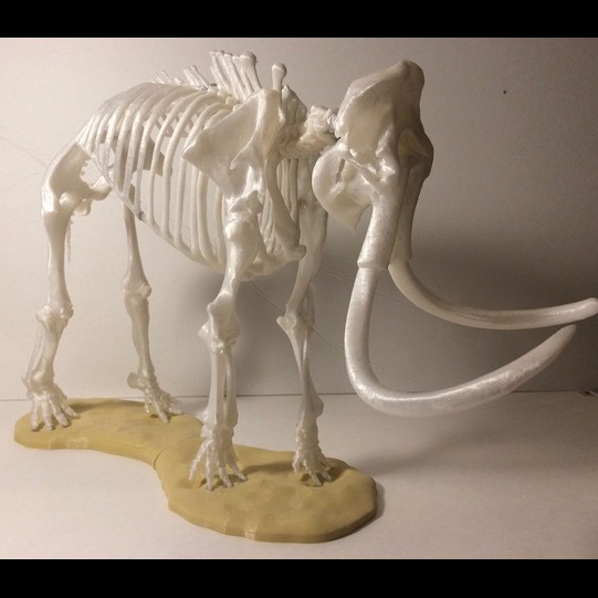 猛犸象骨骼