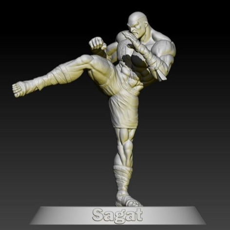 3D模型-街霸Sagat沙加特