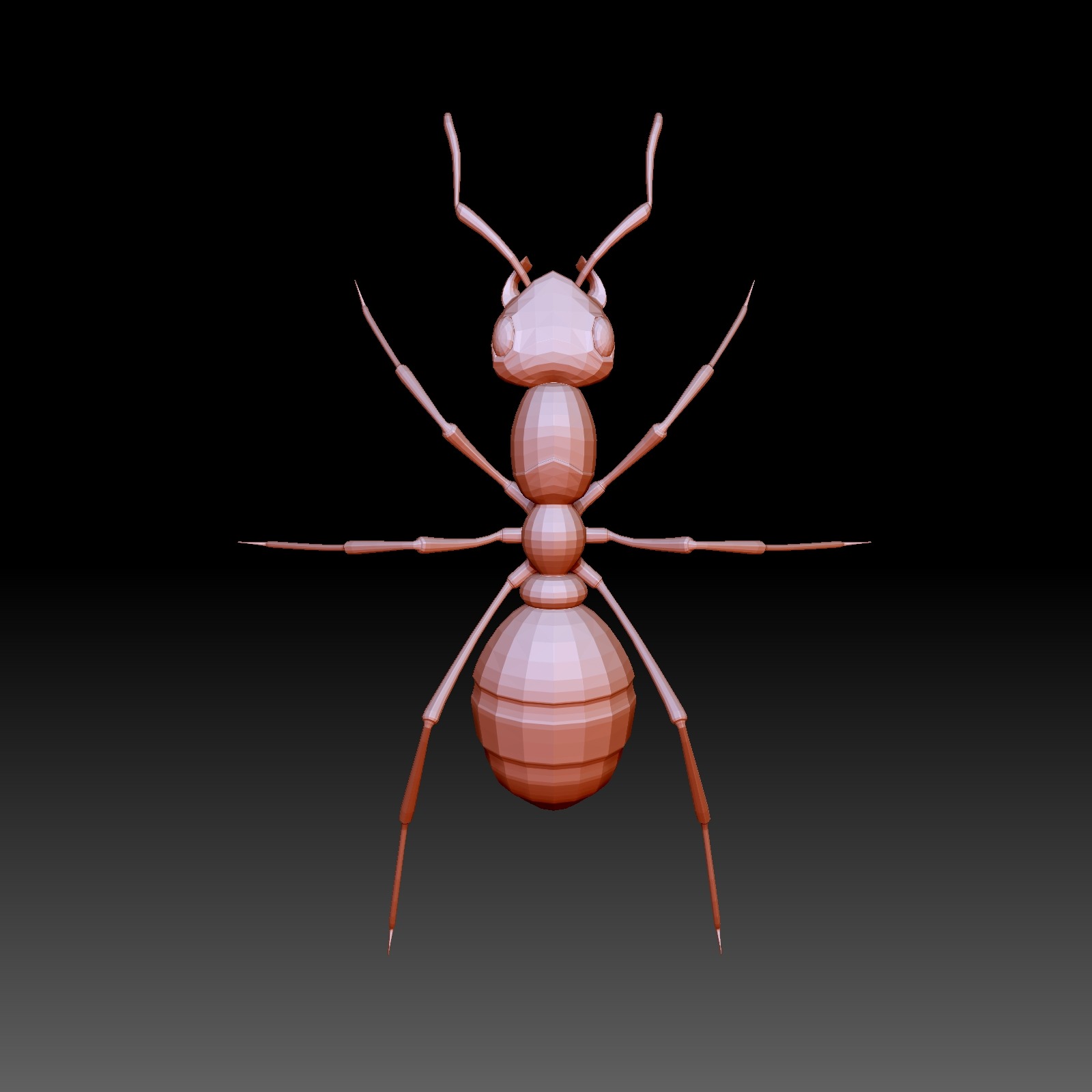 3D模型-红林蚁、蚂蚁