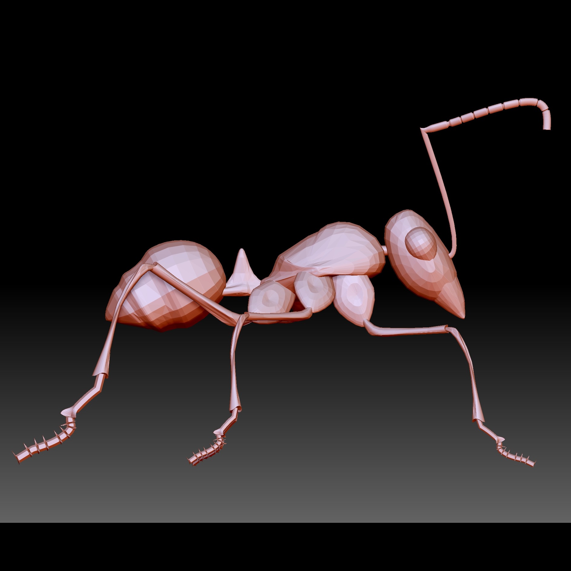 3D模型-蚂蚁模型