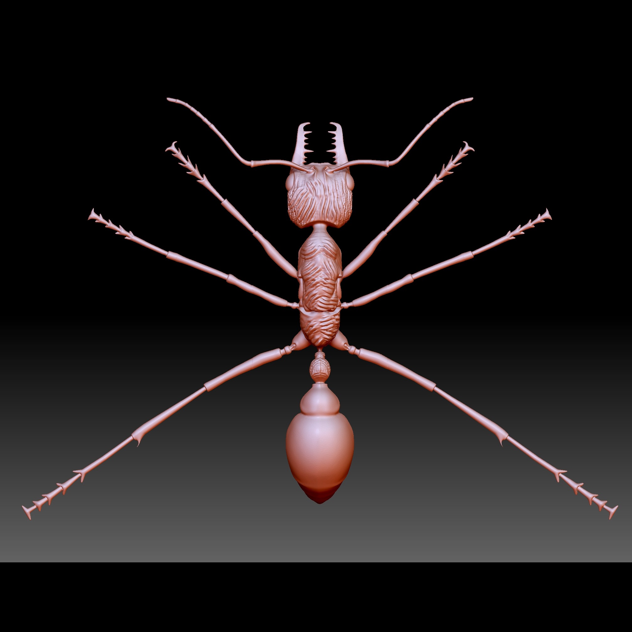 3D模型-蚂蚁样本