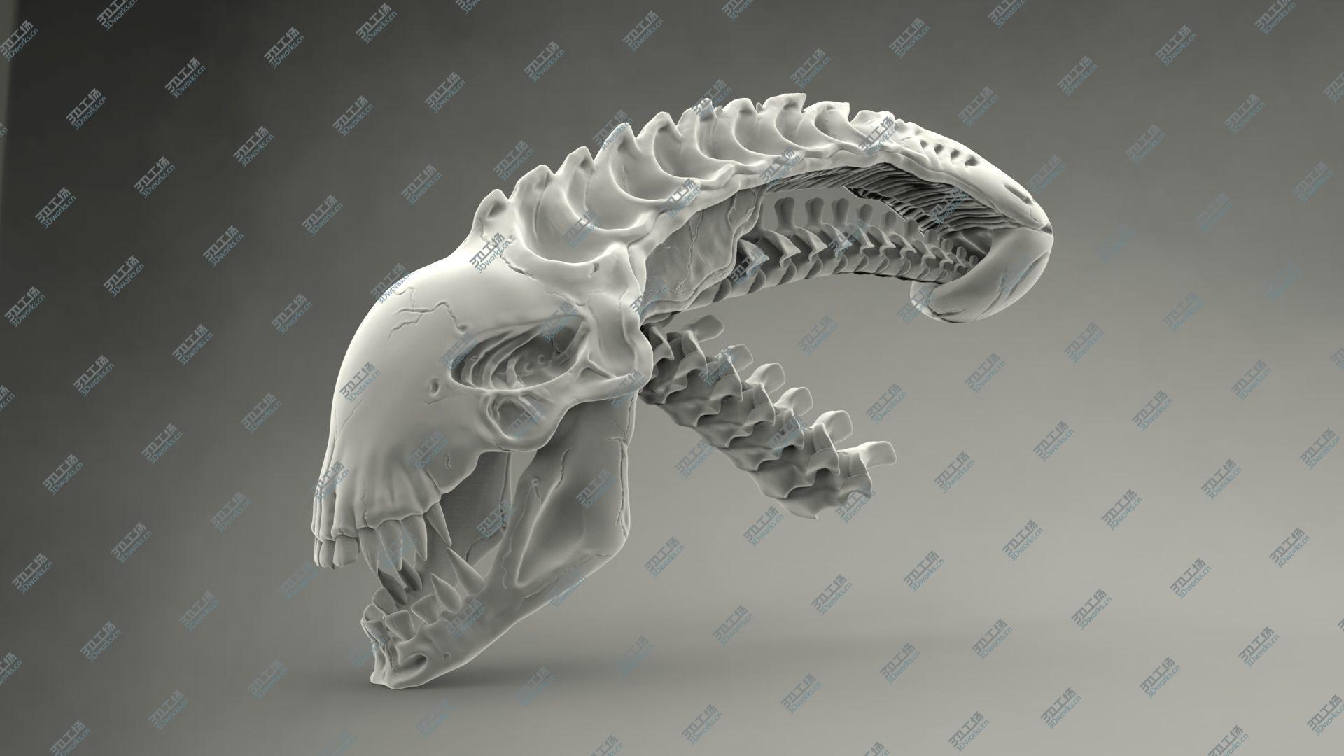 铁血异形头骨模型科幻电影骷髅头摆件树脂骷颅头万圣节毒液头骨-阿里巴巴