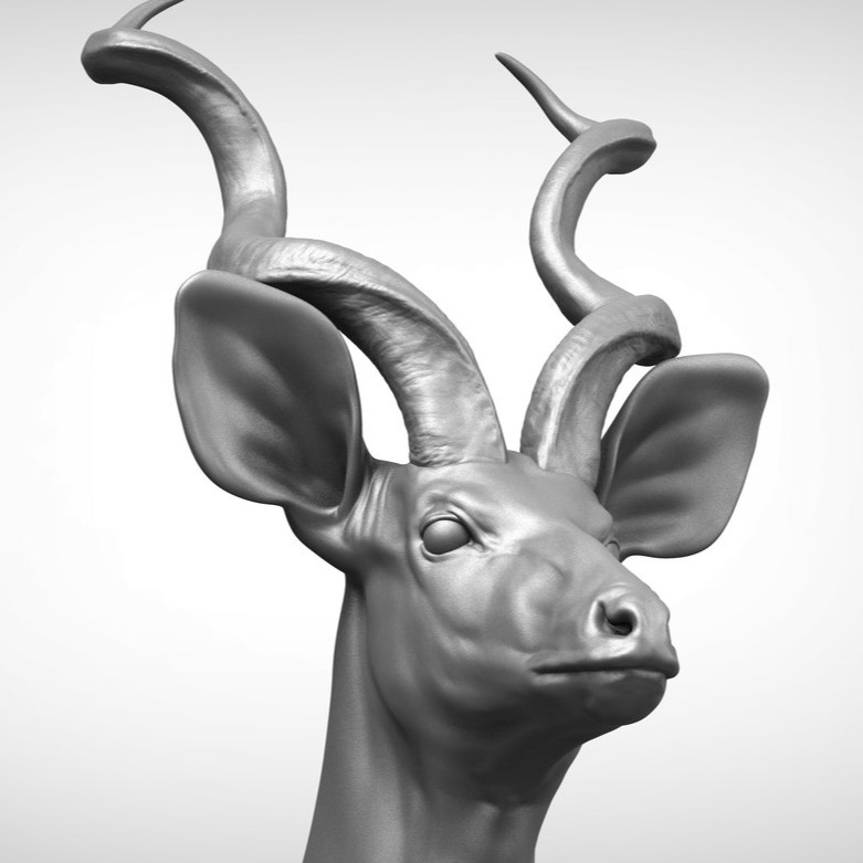 大旋角羚羊（Greater Kudu）