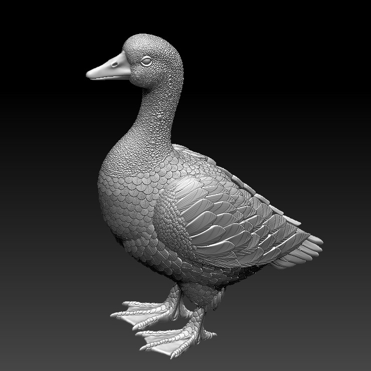 鹅 3D打印模型