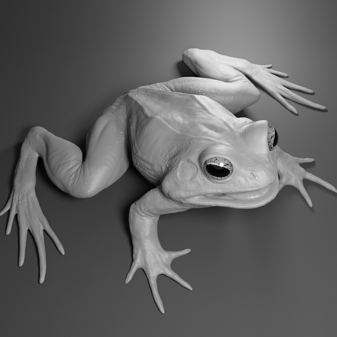 3D模型-青蛙3D打印模型Frog