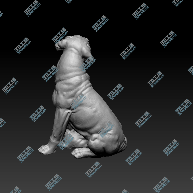 images/goods_img/20180425/大狗/4.png