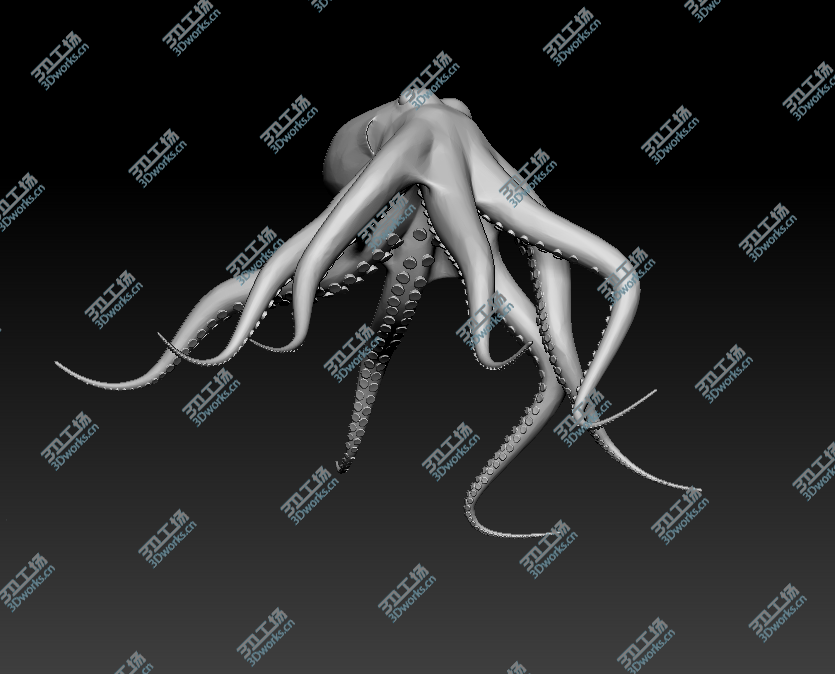 images/goods_img/20180425/章鱼/4.png