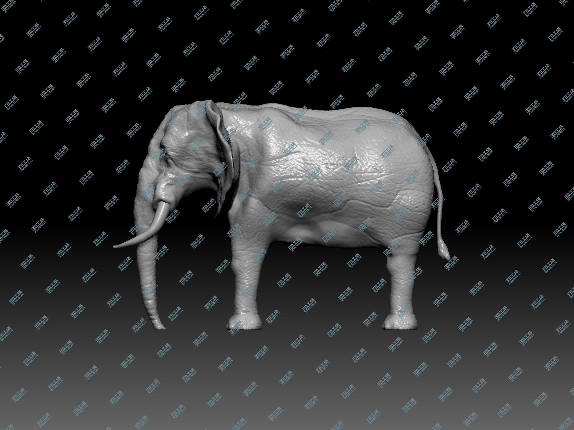 大象-3D打印模型下载-3D工场 3Dworks.cn