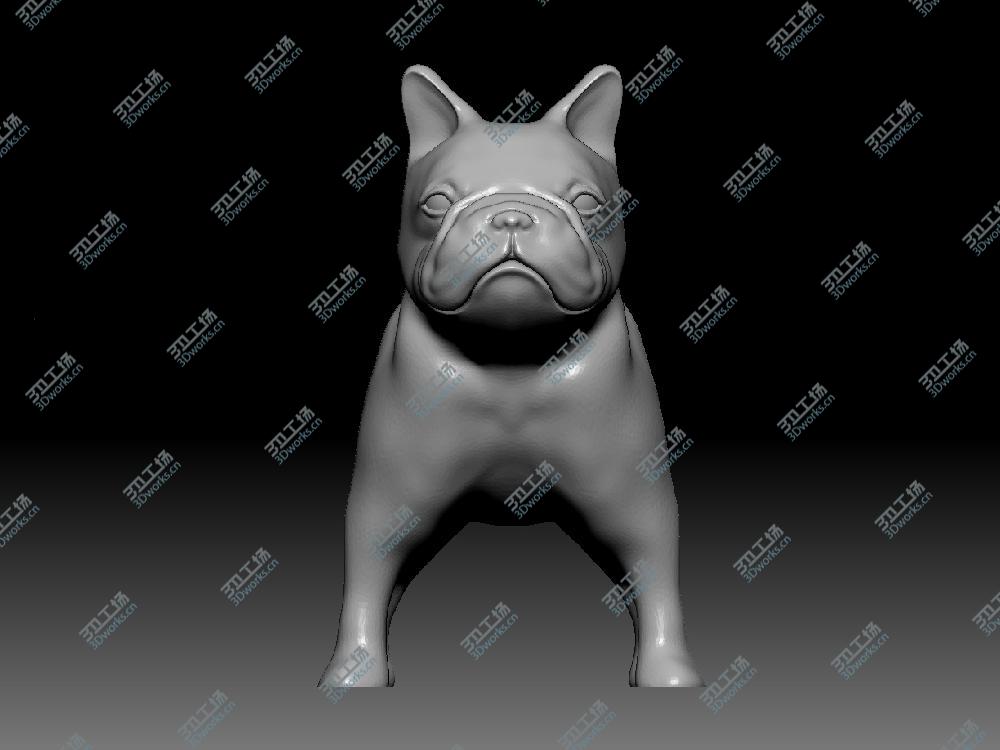 images/goods_img/20180710/斗牛犬/4.jpg