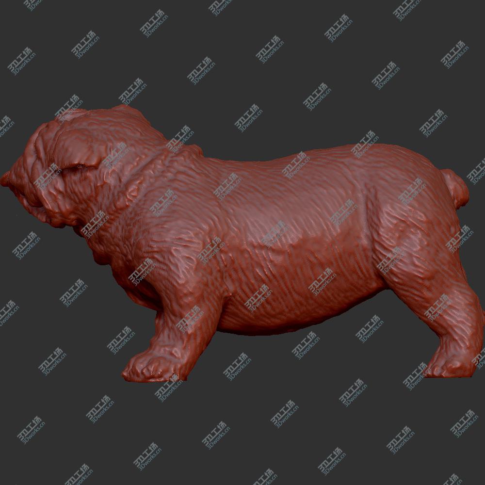 images/goods_img/20190917J/斗牛犬2/3.jpg