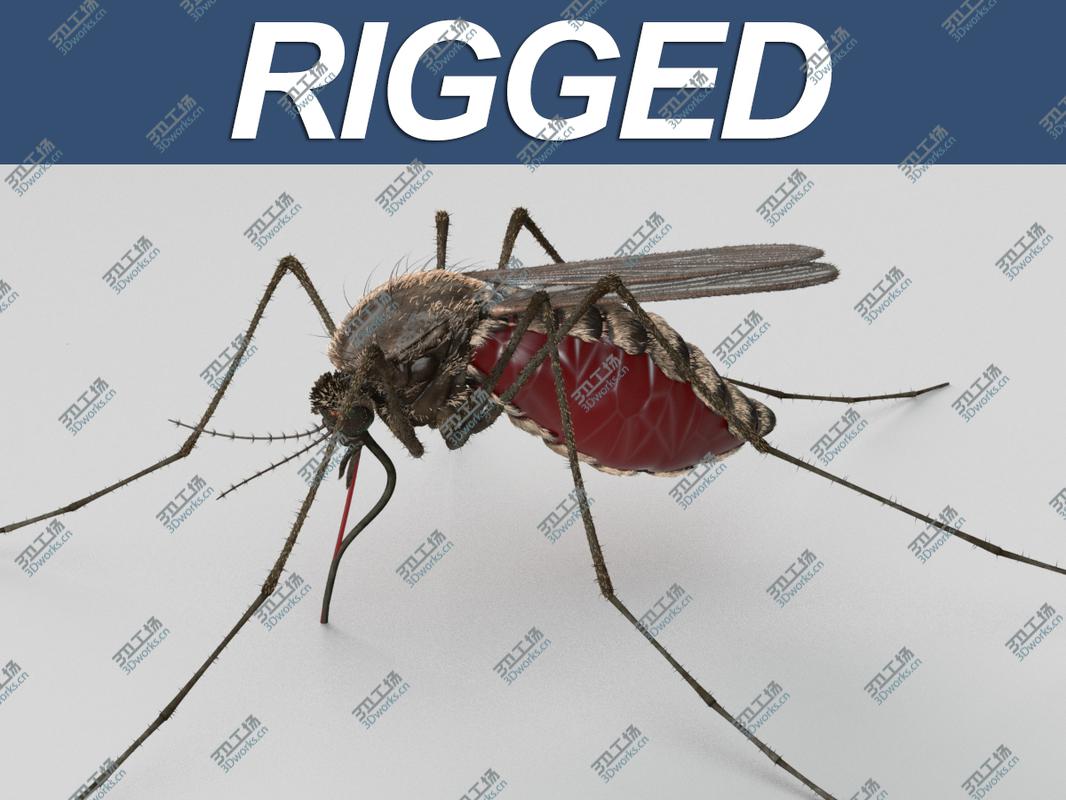 images/goods_img/20210113/Mosquito/1.jpg