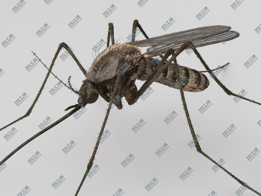 images/goods_img/20210113/Mosquito/2.jpg