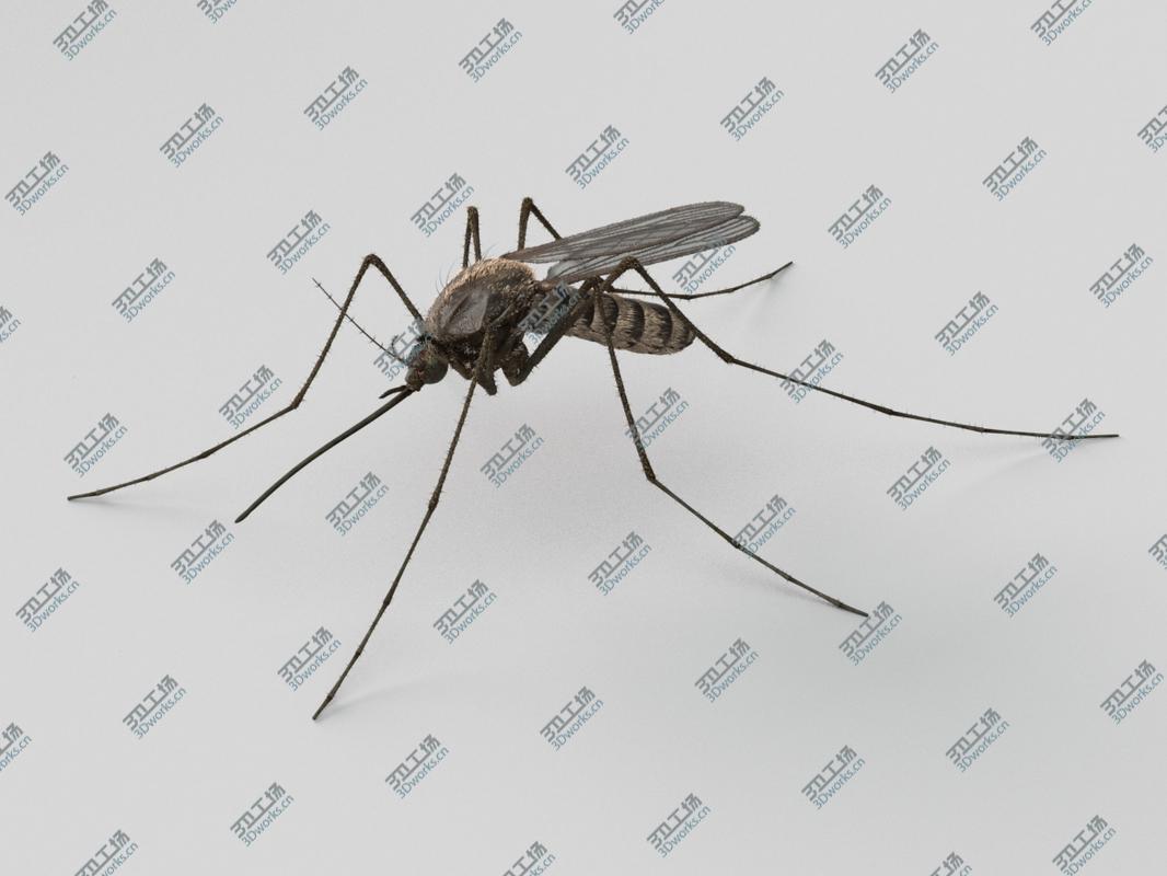images/goods_img/20210113/Mosquito/3.jpg