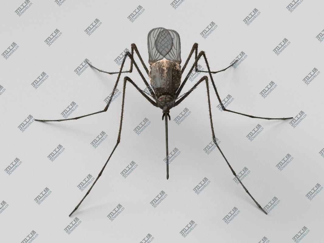 images/goods_img/20210113/Mosquito/4.jpg