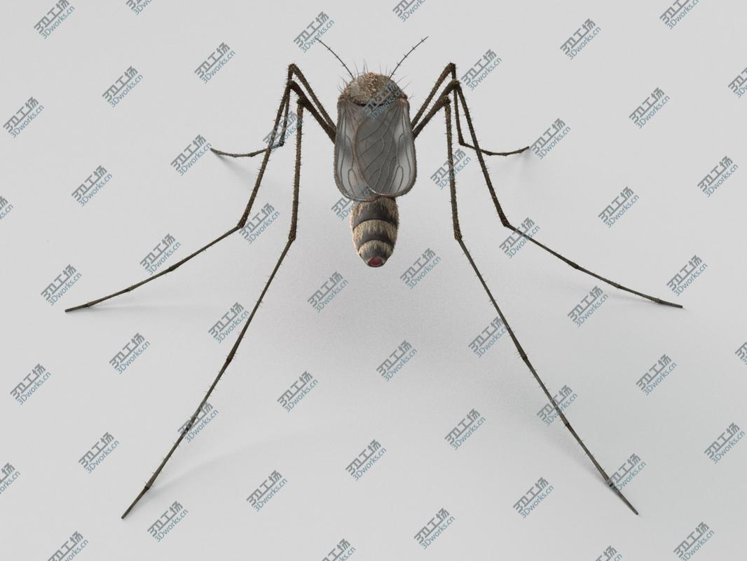 images/goods_img/20210113/Mosquito/5.jpg