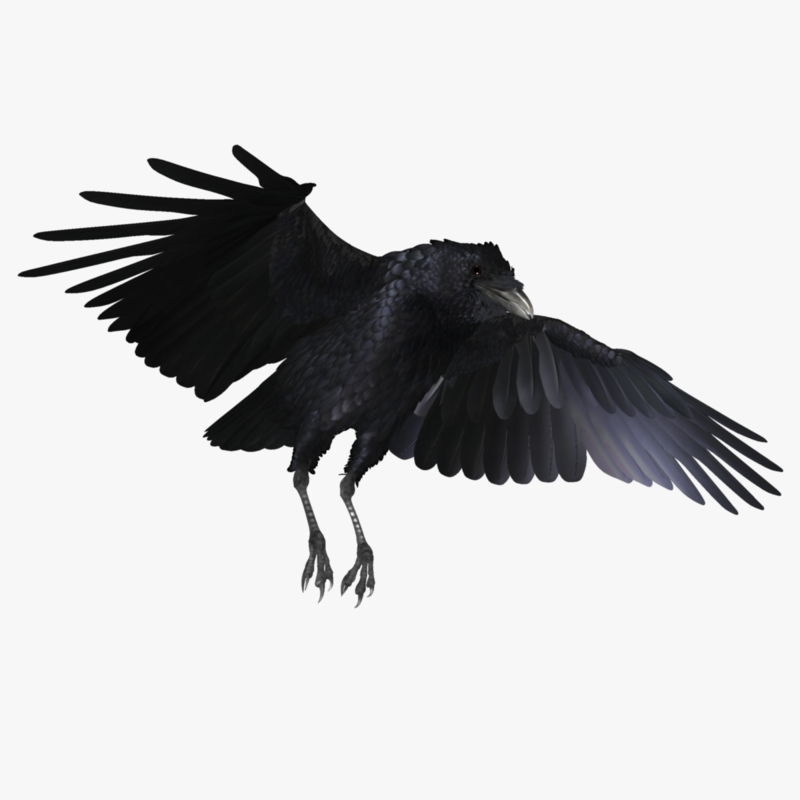 images/goods_img/20210113/raven/5.jpg