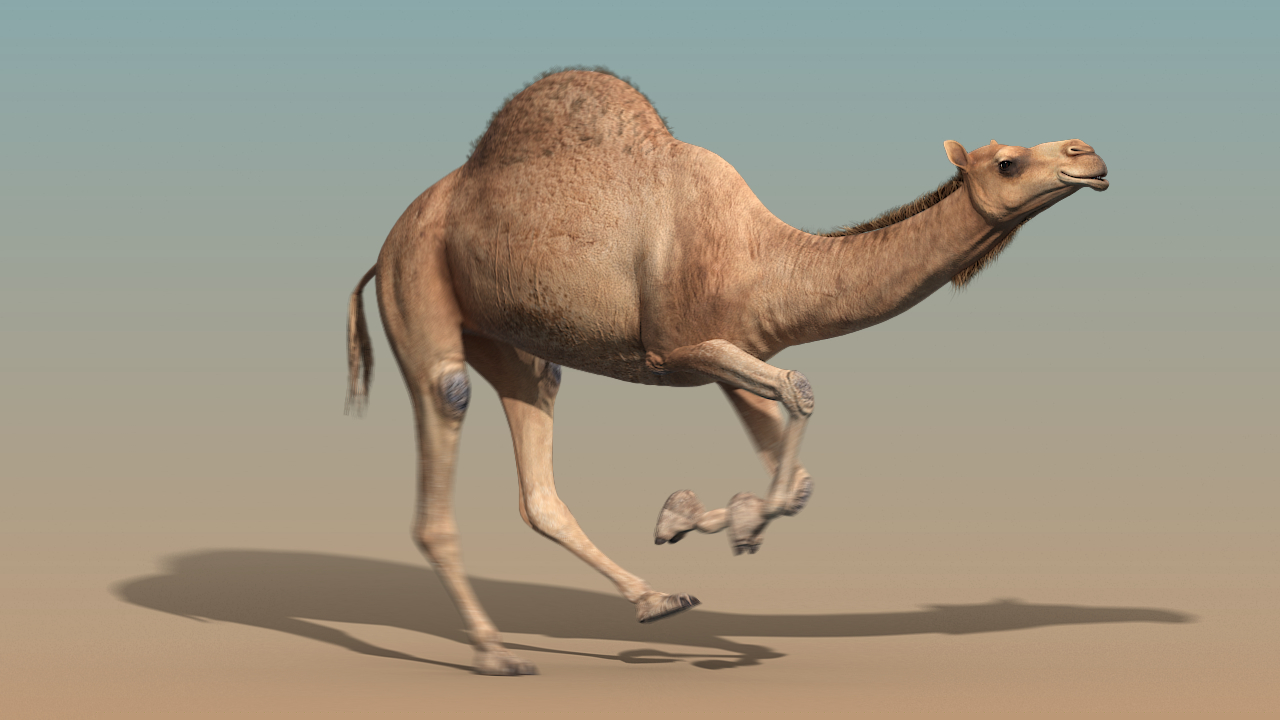 images/goods_img/20210114/Camel(ANIMATED)/4.jpg