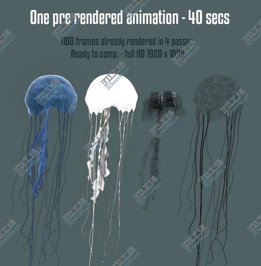 images/goods_img/20210114/JellyFish_v2.0/5.jpg
