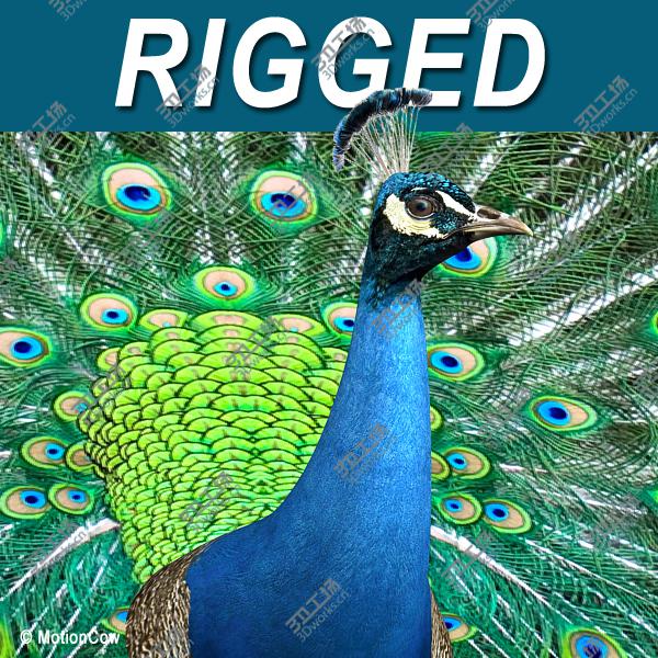 images/goods_img/20210114/Peacock/1.jpg