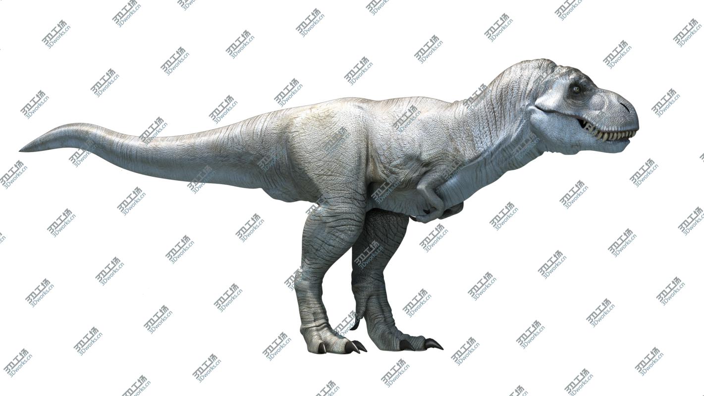 images/goods_img/20210115/Velociraptor(Animated)(Rigged)/4.jpg