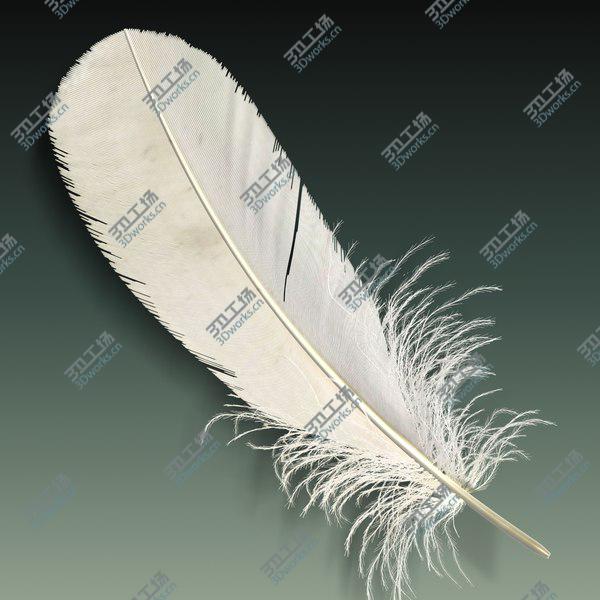 images/goods_img/20210312/Feather/1.jpg