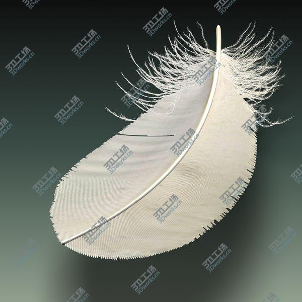 images/goods_img/20210312/Feather/2.jpg