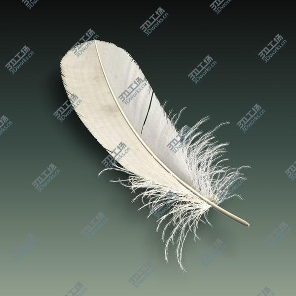 images/goods_img/20210312/Feather/3.jpg