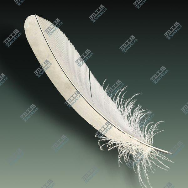 images/goods_img/20210312/Feather/4.jpg