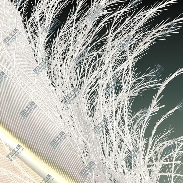 images/goods_img/20210312/Feather/5.jpg