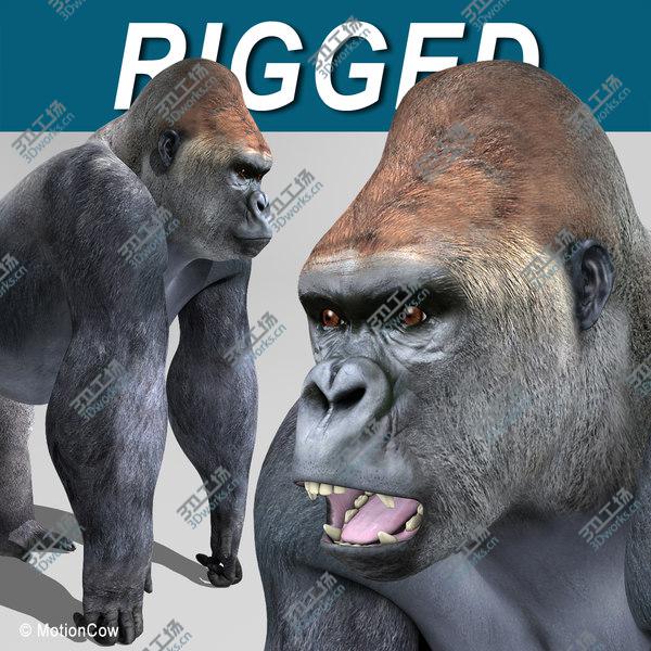 images/goods_img/20210312/Gorilla/1.jpg