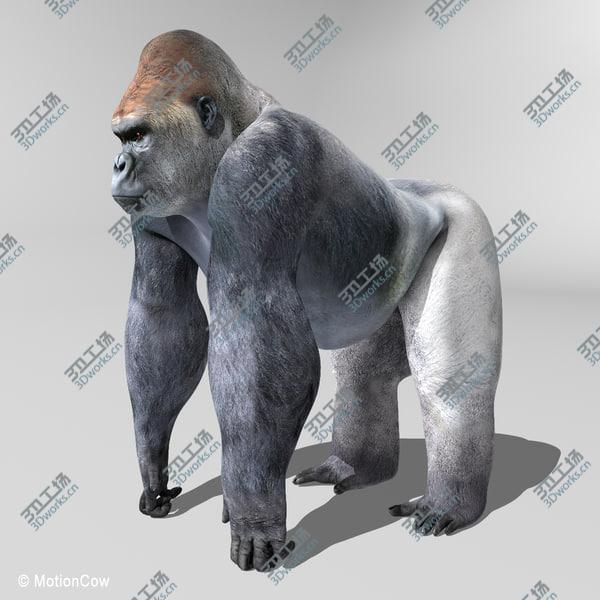 images/goods_img/20210312/Gorilla/2.jpg