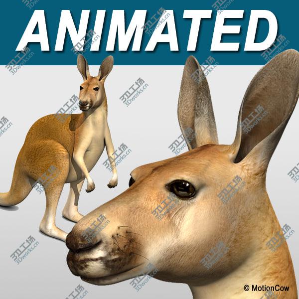 images/goods_img/20210312/Kangaroo/1.jpg