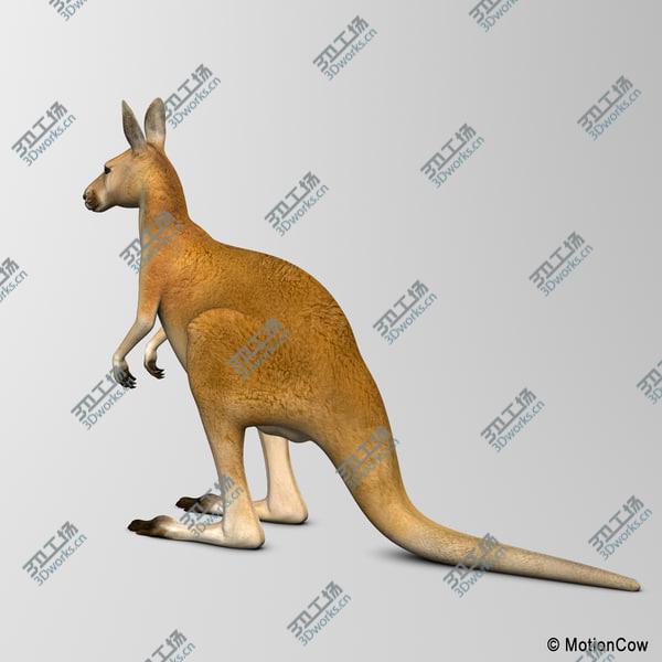 images/goods_img/20210312/Kangaroo/4.jpg