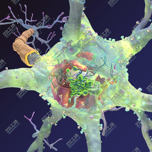 images/goods_img/20210312/Neuron/1.jpg