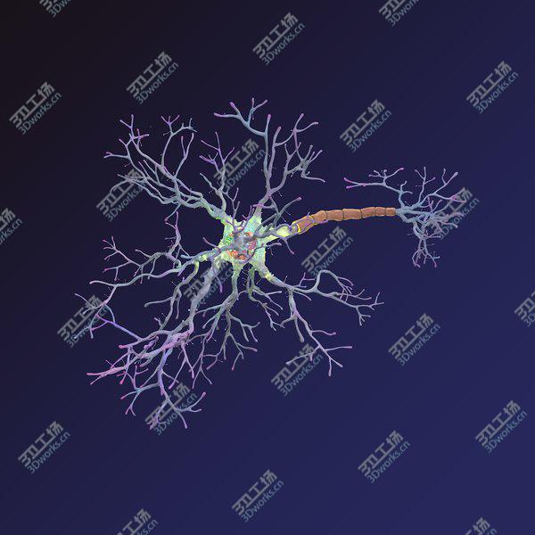images/goods_img/20210312/Neuron/2.jpg