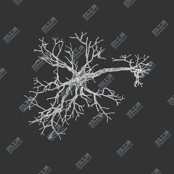 images/goods_img/20210312/Neuron/3.jpg