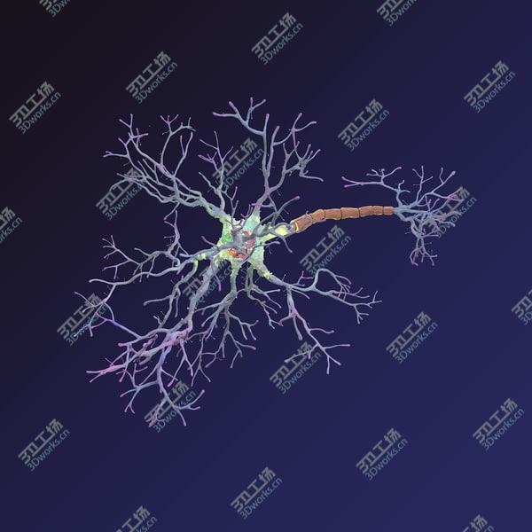 images/goods_img/20210312/Neuron/4.jpg