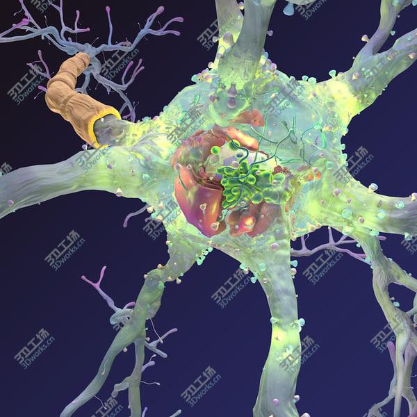 images/goods_img/20210312/Neuron/5.jpg