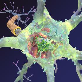 Neuron