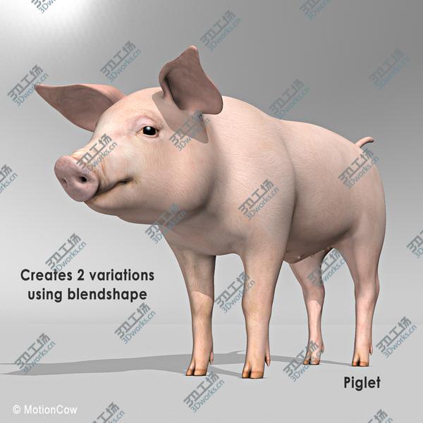 images/goods_img/20210312/Pig/2.jpg