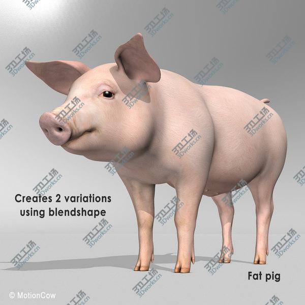 images/goods_img/20210312/Pig/3.jpg