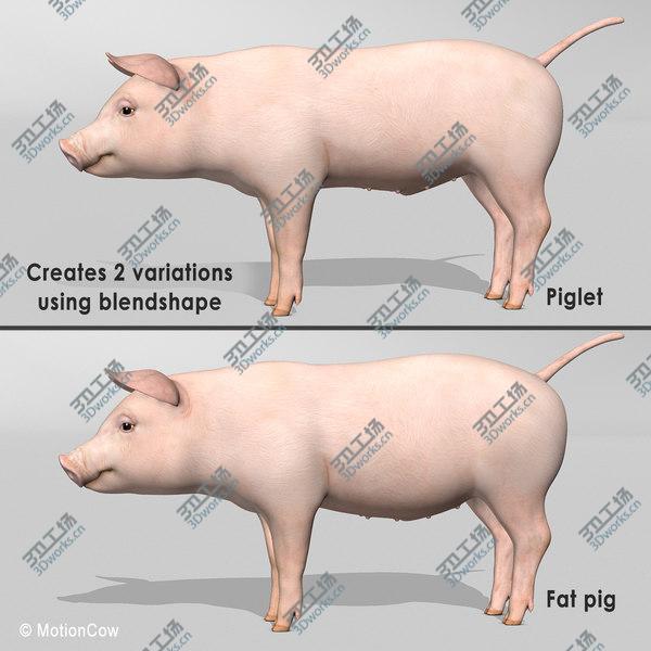 images/goods_img/20210312/Pig/4.jpg