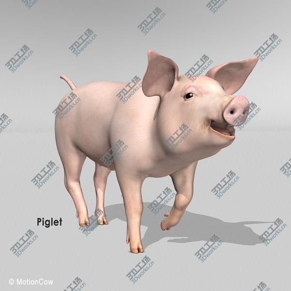 images/goods_img/20210312/Pig/5.jpg